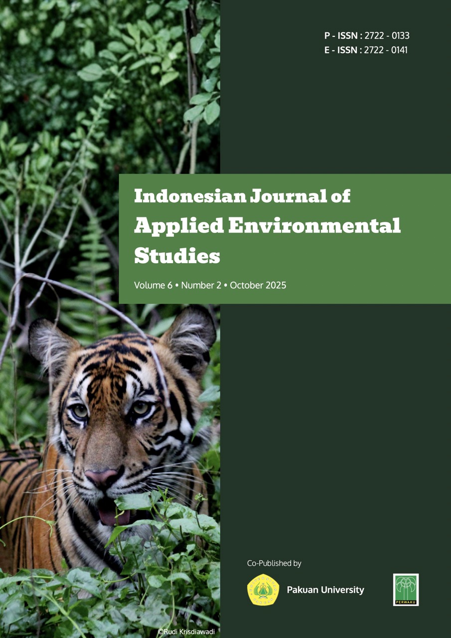 Sumatran tiger (Panthera tigris sumatrae) in a production forest concession in Riau, Indonesia (Photographed by Rudi Krisdiawadi)